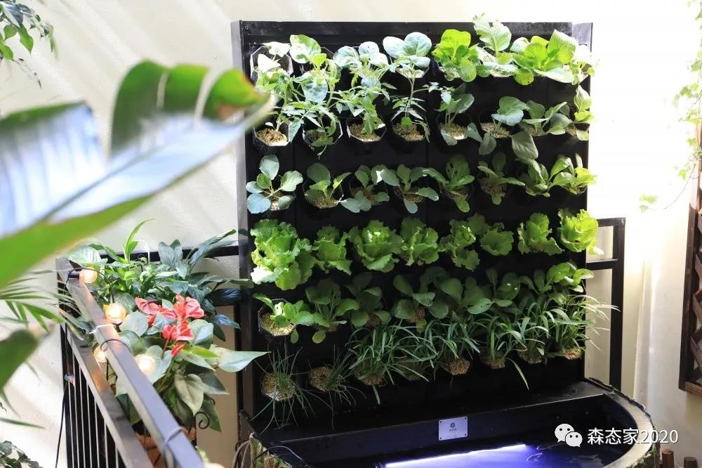 母亲节，敢和你妈这样玩吗？朋友圈豪嗮幸福