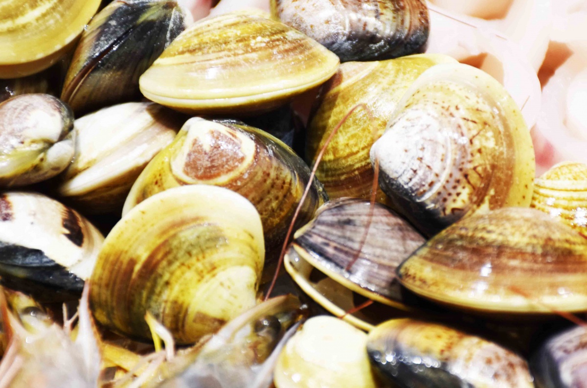 雄业金都火锅在几楼,雄业金都美食推荐烤肉自助