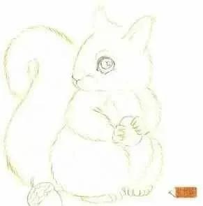 彩铅可爱的小松鼠,彩铅画可爱动物飞鼠