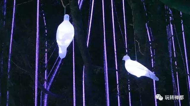 亮化工程让城市灯火通明,新兴县夜景图片