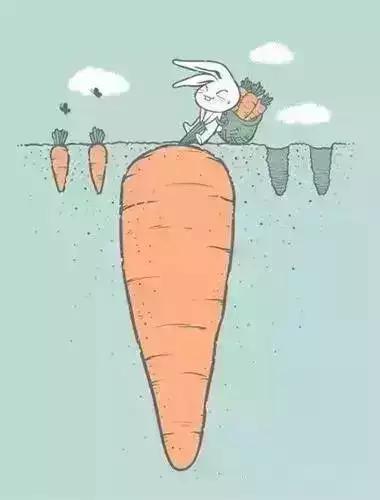 读林清玄《送一轮明月给他》，解“明月”式教育