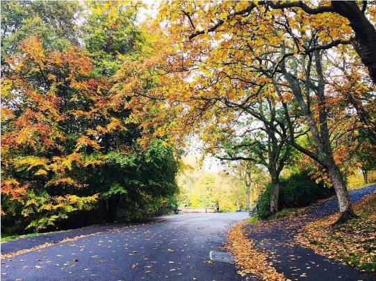 中国留学生开扒知山大学!那些你不知道的秘密