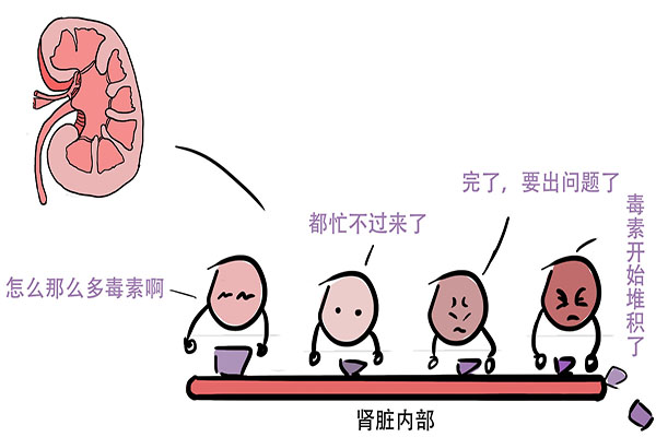 想要皮肤变好教你一招轻松解决,皮肤状态不好怎么养脸