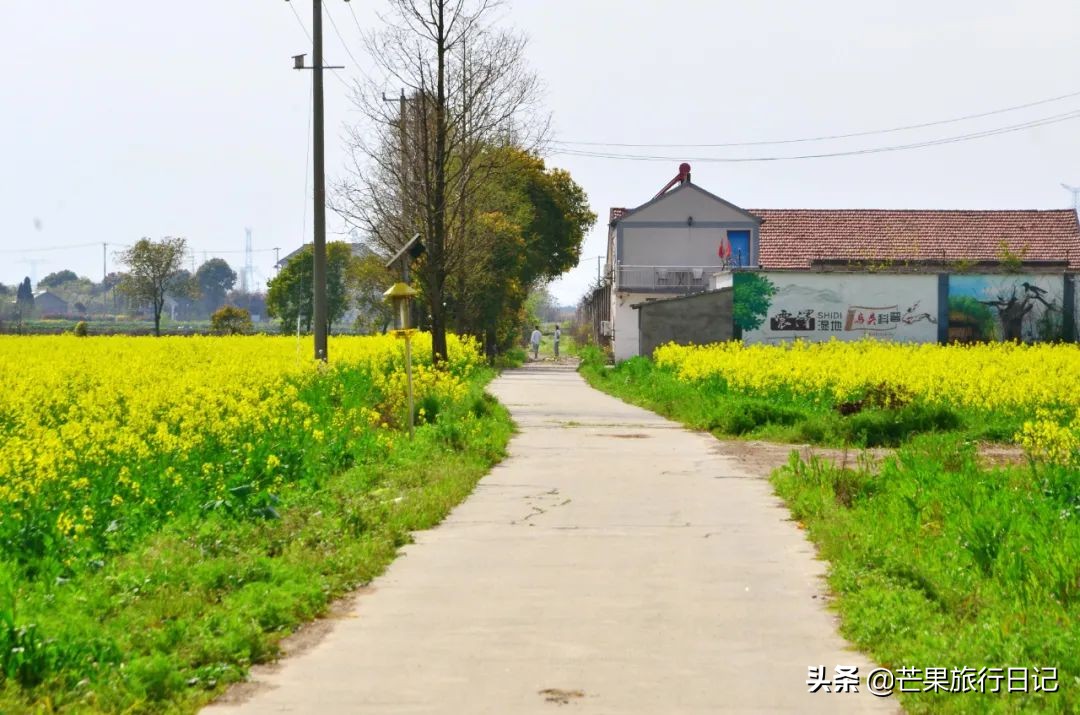 江苏绝美人间仙境风景民宿,江苏最漂亮的湖景民宿
