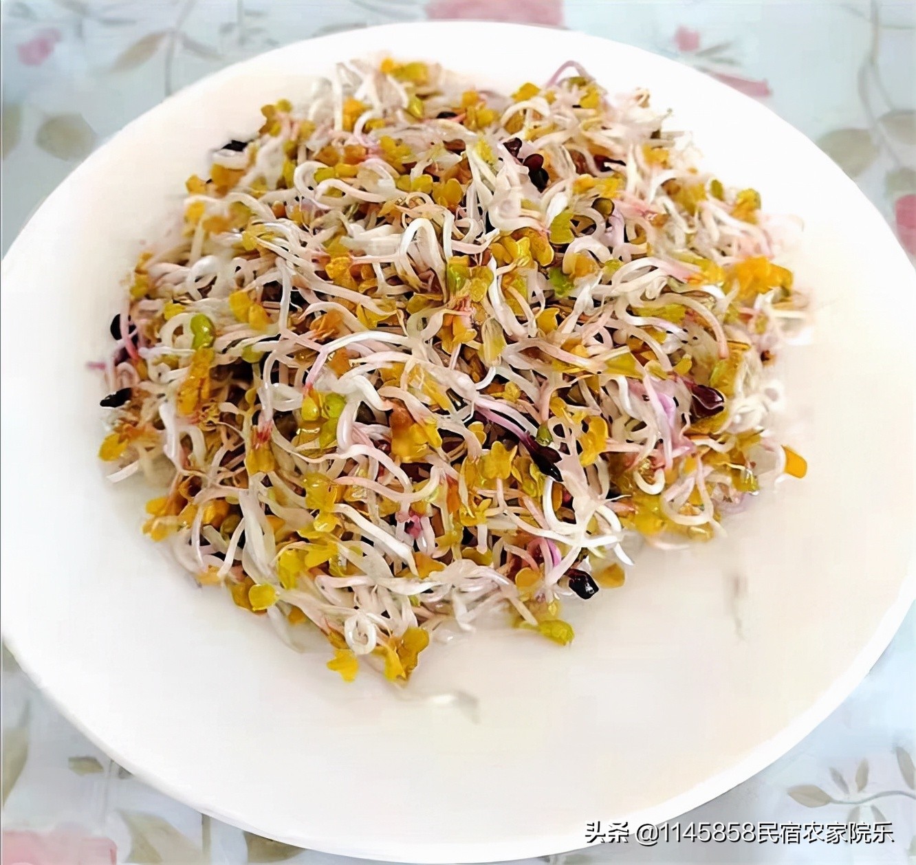 蓟县九如庄园音乐民宿,蓟县盘山九如居