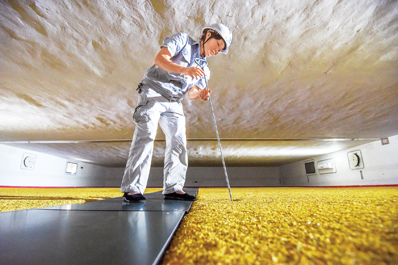 解决了中国人吃饭的问题,真正解决中国温饱问题的人