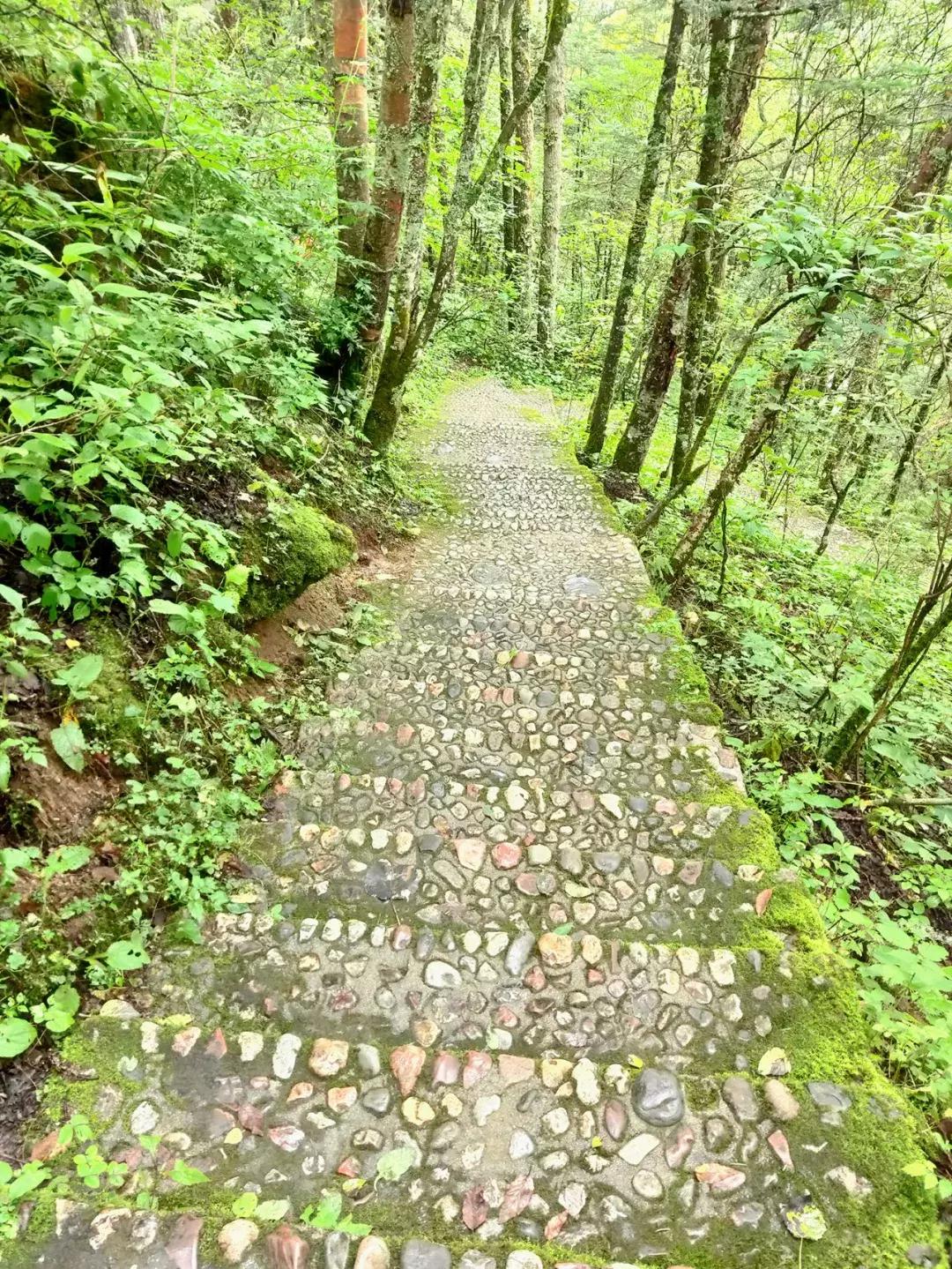 神农架攻略书,重庆出发神农架三日自驾游攻略