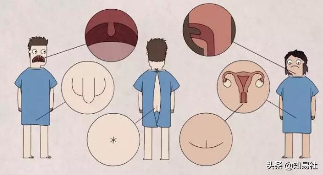 羞羞后警惕HPV感染,一不小心会得宫颈癌