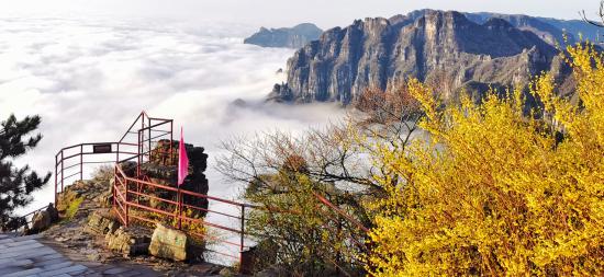 晋城王莽岭一日游攻略,山西王莽岭二日游景点推荐