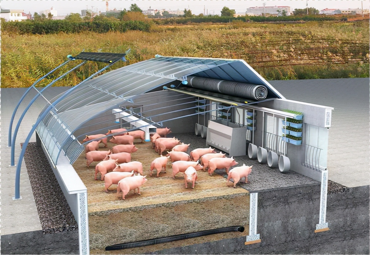 新型农村养殖大棚建造,专业建养殖大棚小伙