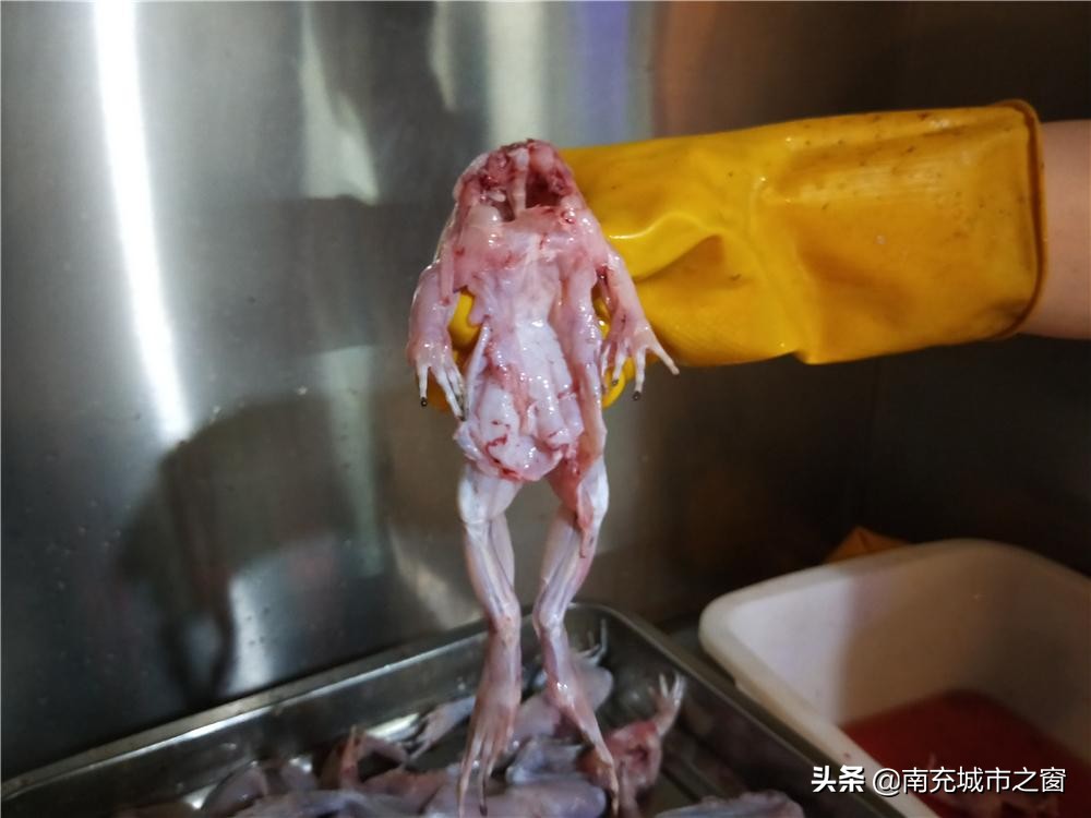 南充嘉陵九味美蛙鱼头,南充吃美蛙