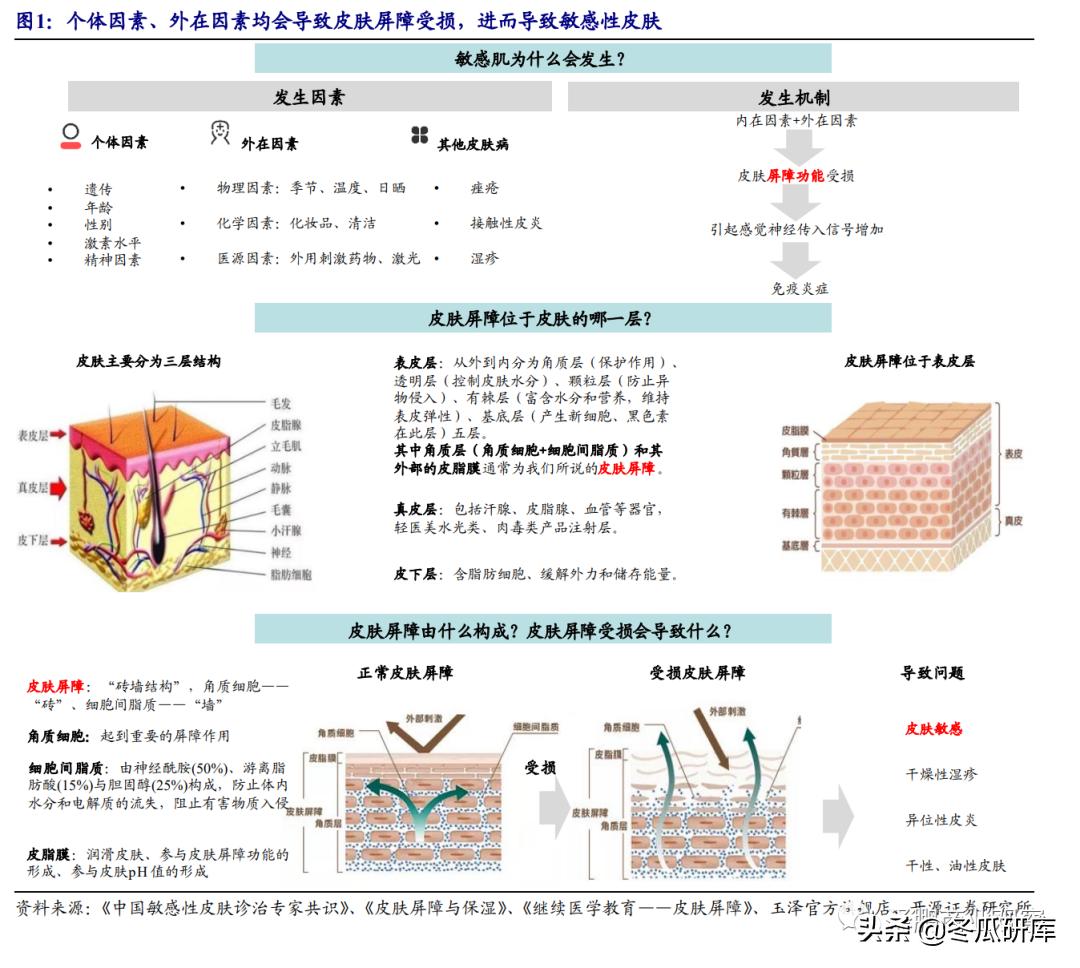 开源零售化妆品专题:从贝泰妮看“医研赋能”助力护肤国货崛起