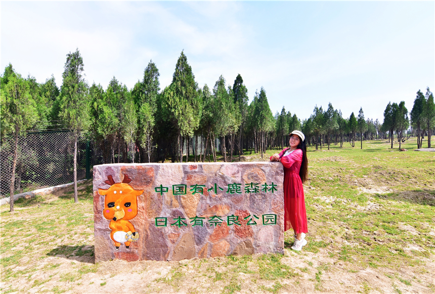 初夏河南,找寻童心,邂逅伏羲山的斜阳,一颗心萌化在云上牧场