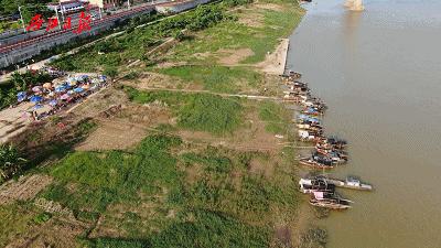 肥美的河鲜,肇庆哪里有河鲜卖