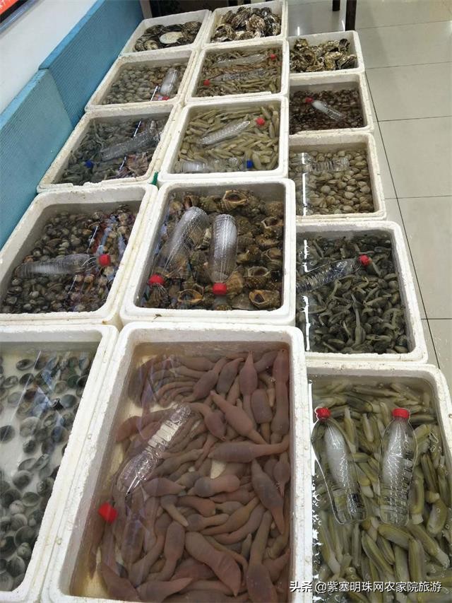 天津滨海新区吃海鲜渔村,天津滨海吃皮皮虾