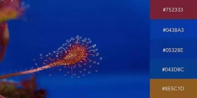 999张照片模板,999999999的创意图片