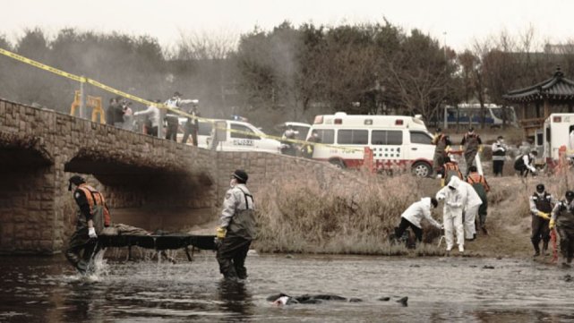 寄生虫电影有虫子吗,铁线虫会寄生人吗电影片段
