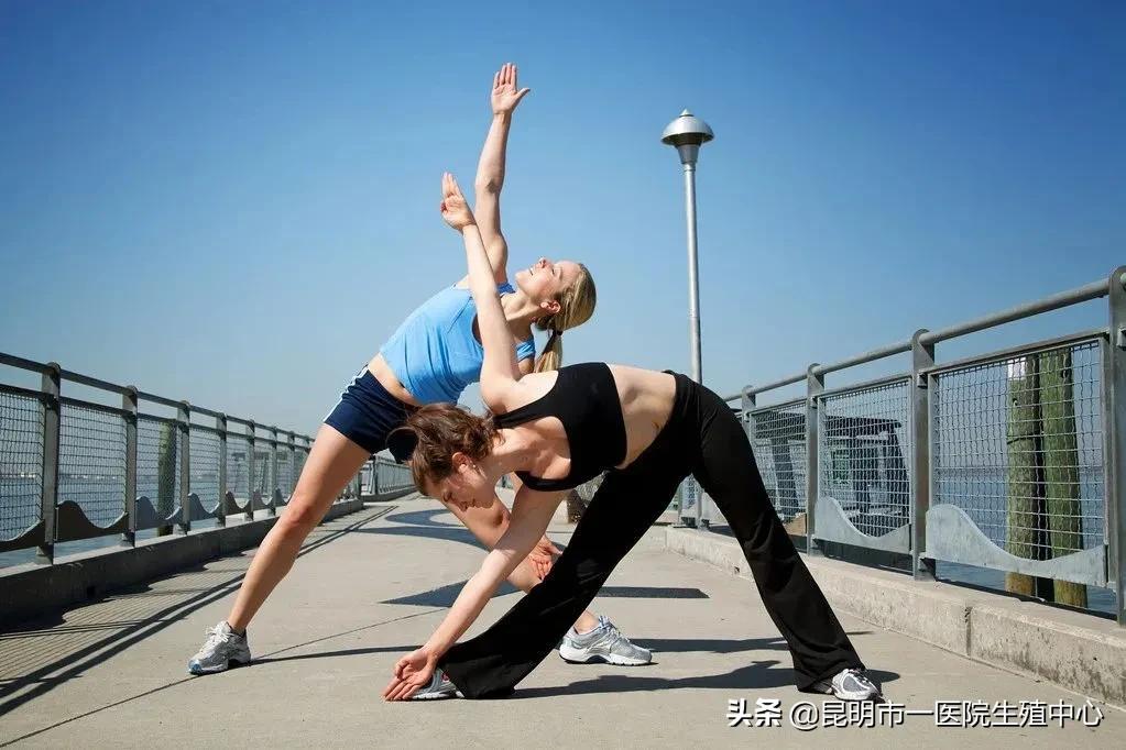 移植便秘用力拉会把胚胎拉出来吗,移植后便秘正确方法