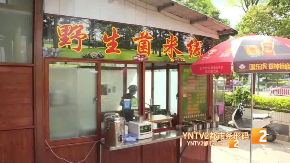 一朵野生菌的视频,野生菌的独特之处