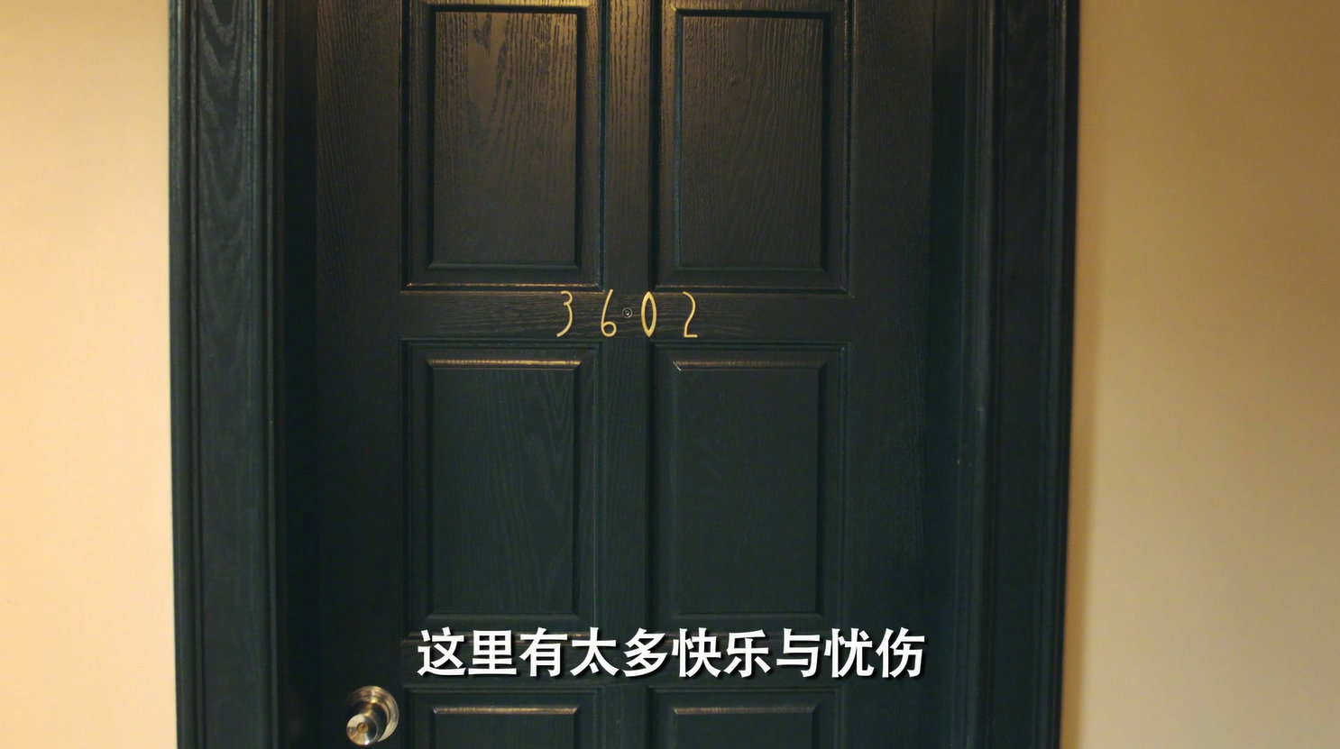 爱情公寓5赵海棠装修,爱情公寓5开启弹幕空间