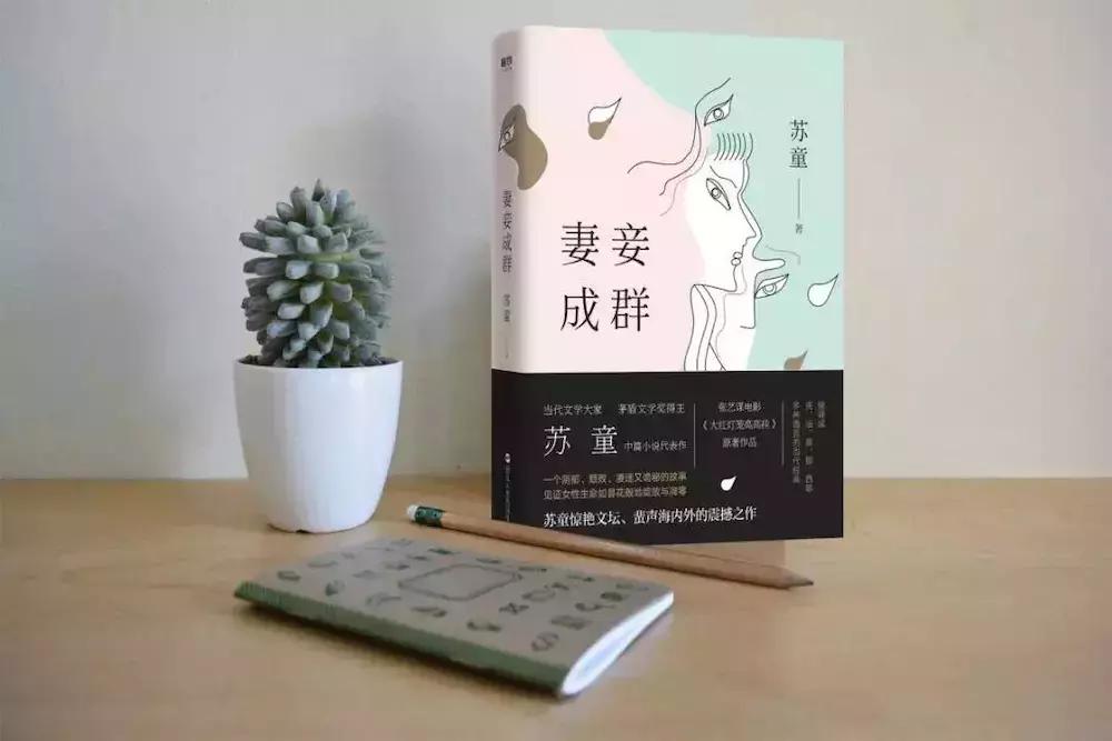 苏童谈文学创作,苏童作品解读