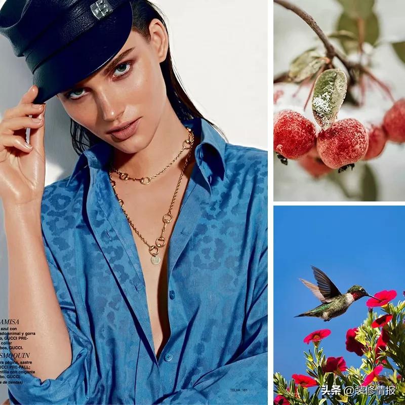 最美十款墙布,100种墙纸设计