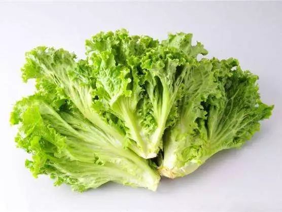 叶菜品类表,叶菜类一览表