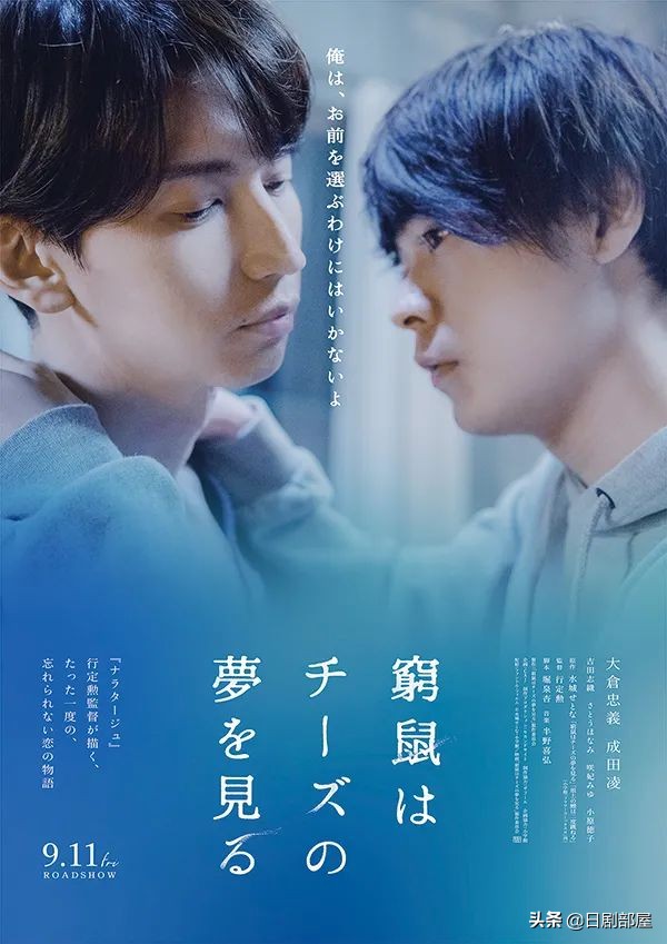 穷途鼠的奶酪梦最后在一起了吗,类似穷途鼠的奶酪梦的电影有哪些