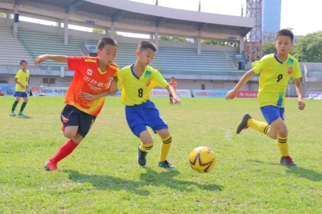 中国的足球青训vs校园足球,足球青训和校园足球