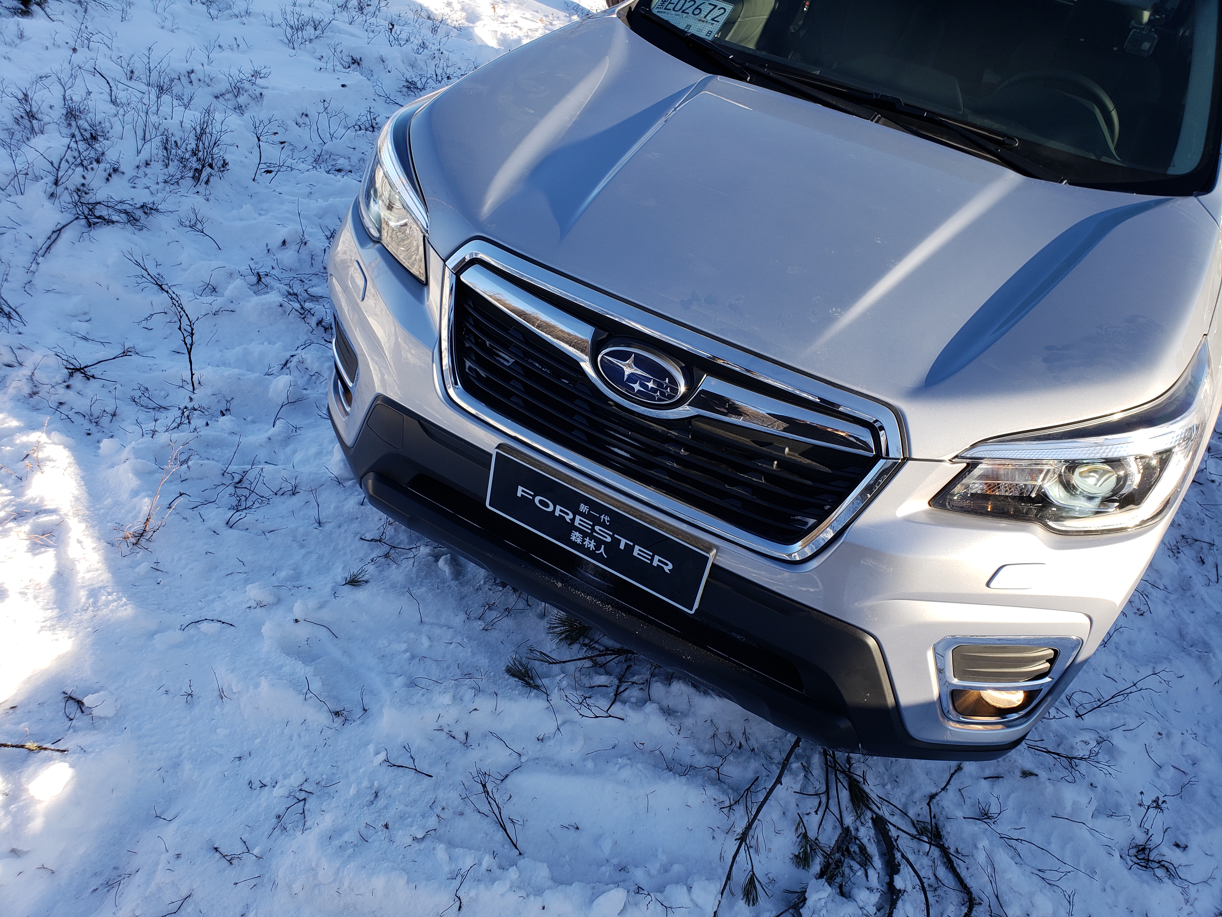 第五代森林人油电混动,第五代森林人报价