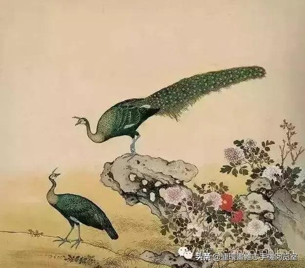 清宫鸟谱,清宫秘传鸟谱大全