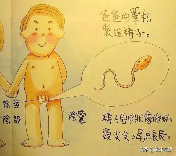 男生被踢到是什么感觉,男孩子被踢是什么感觉