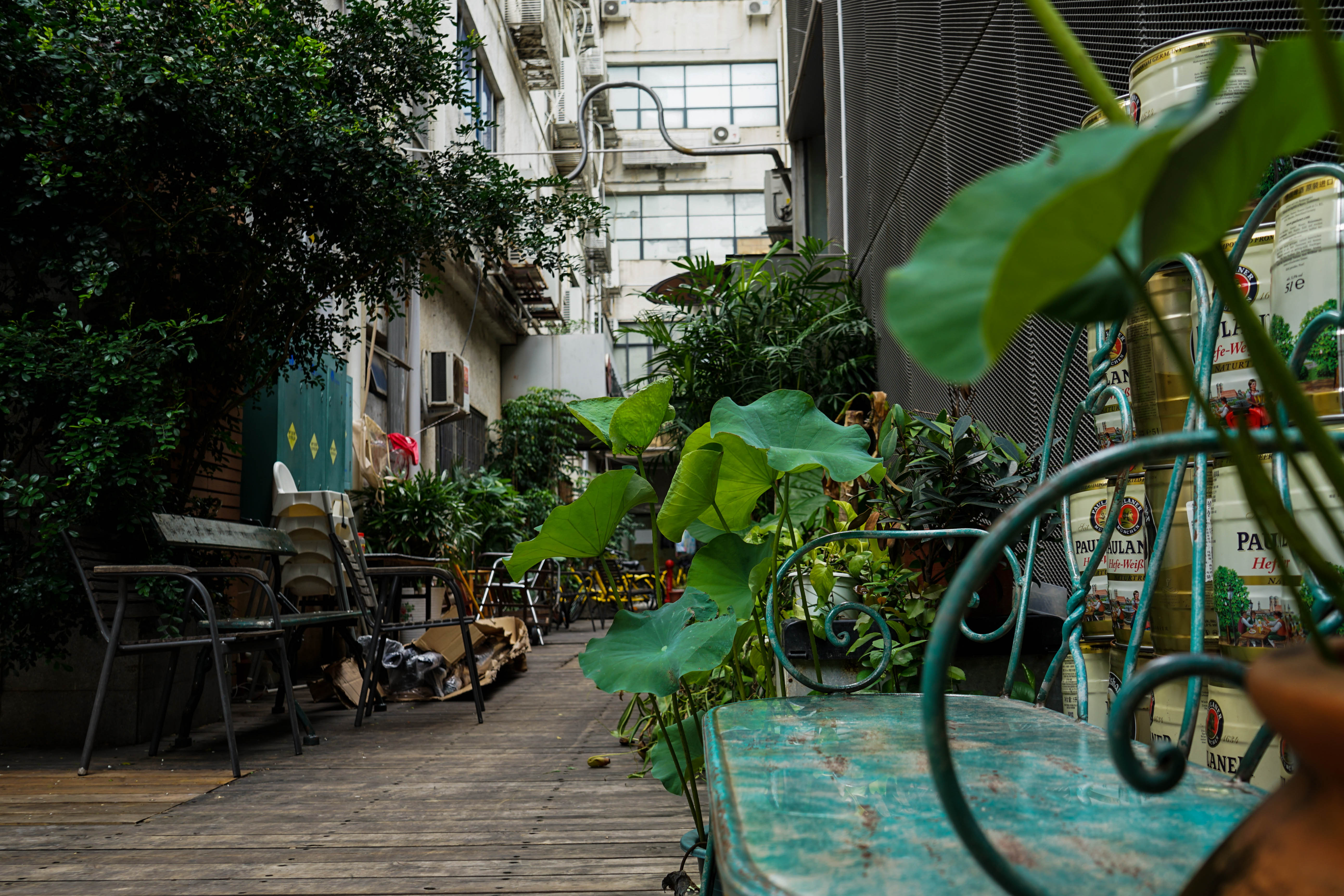 塞班岛蜜月自由行攻略,塞班蜜月旅行攻略