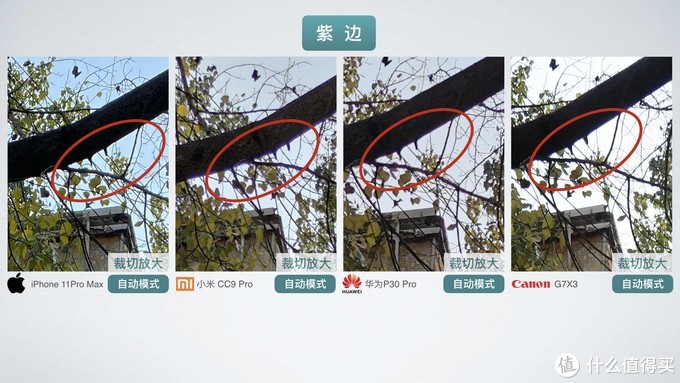 为什么手机拍照什么都看不见,苹果手机拍照怎么设置像素大小