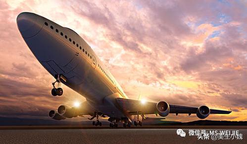 美宝出行坐飞机火车的问题汇总，收藏不亏-美生魏姐