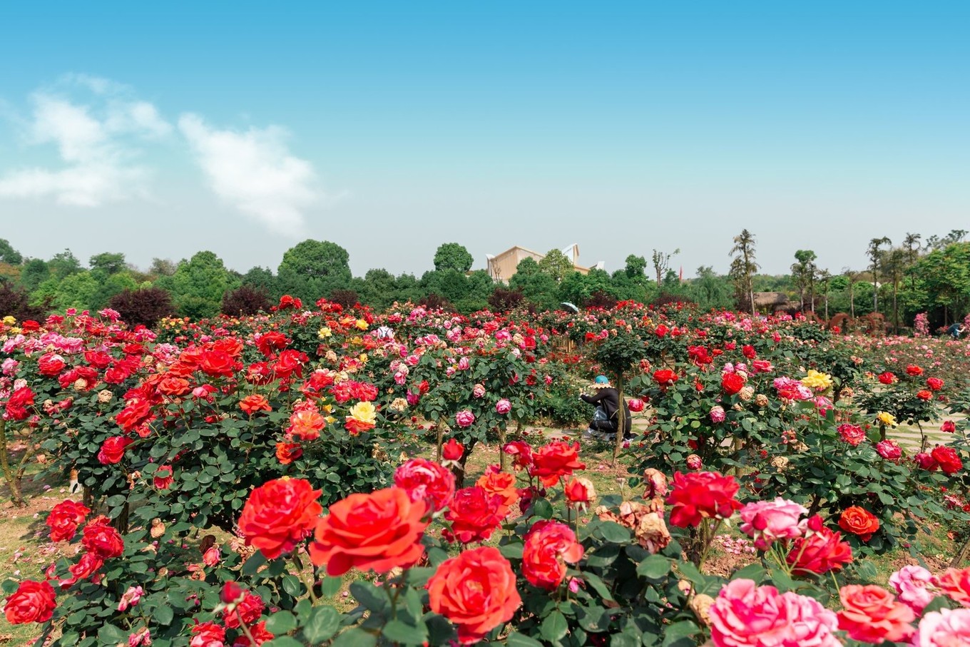 治愈圣地，共赴重庆合川铜梁，一见古今山水城