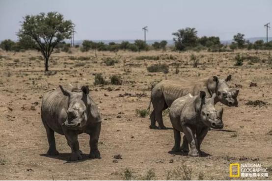 越南下一个世界制造中心,越南号称小中国