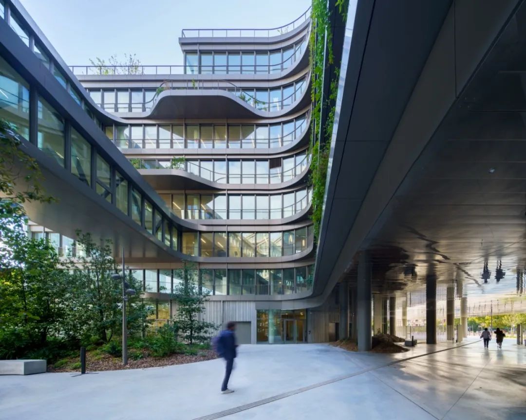 被绿植包围的大楼,被绿植围绕的空间