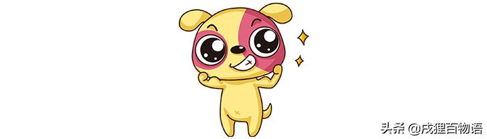 狗狗驱虫喷剂好还是滴剂好,左旋咪唑狗狗驱虫滴剂