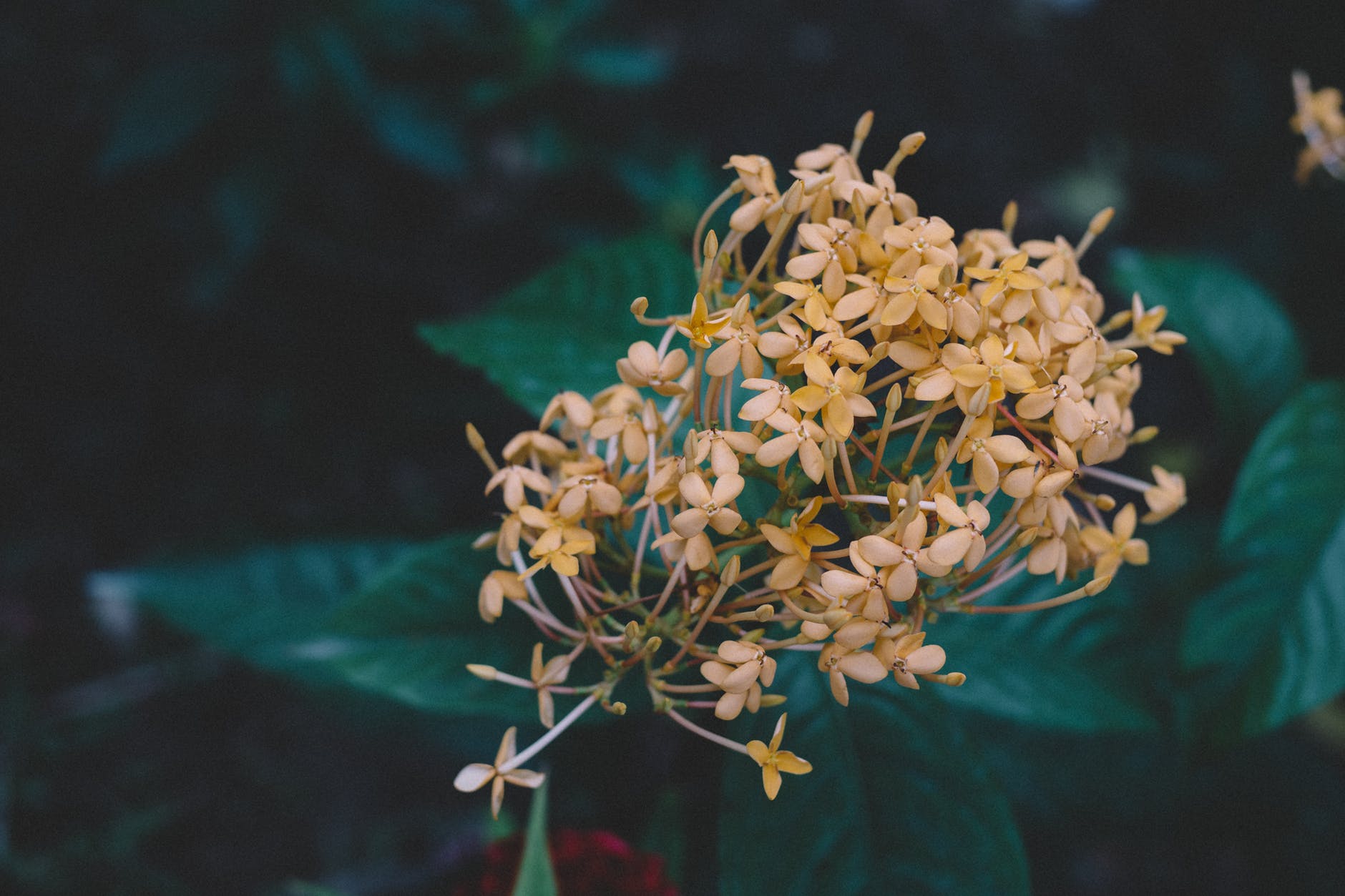 妻子缺乏信任如何沟通,妻子缺乏安全感控制丈夫出轨