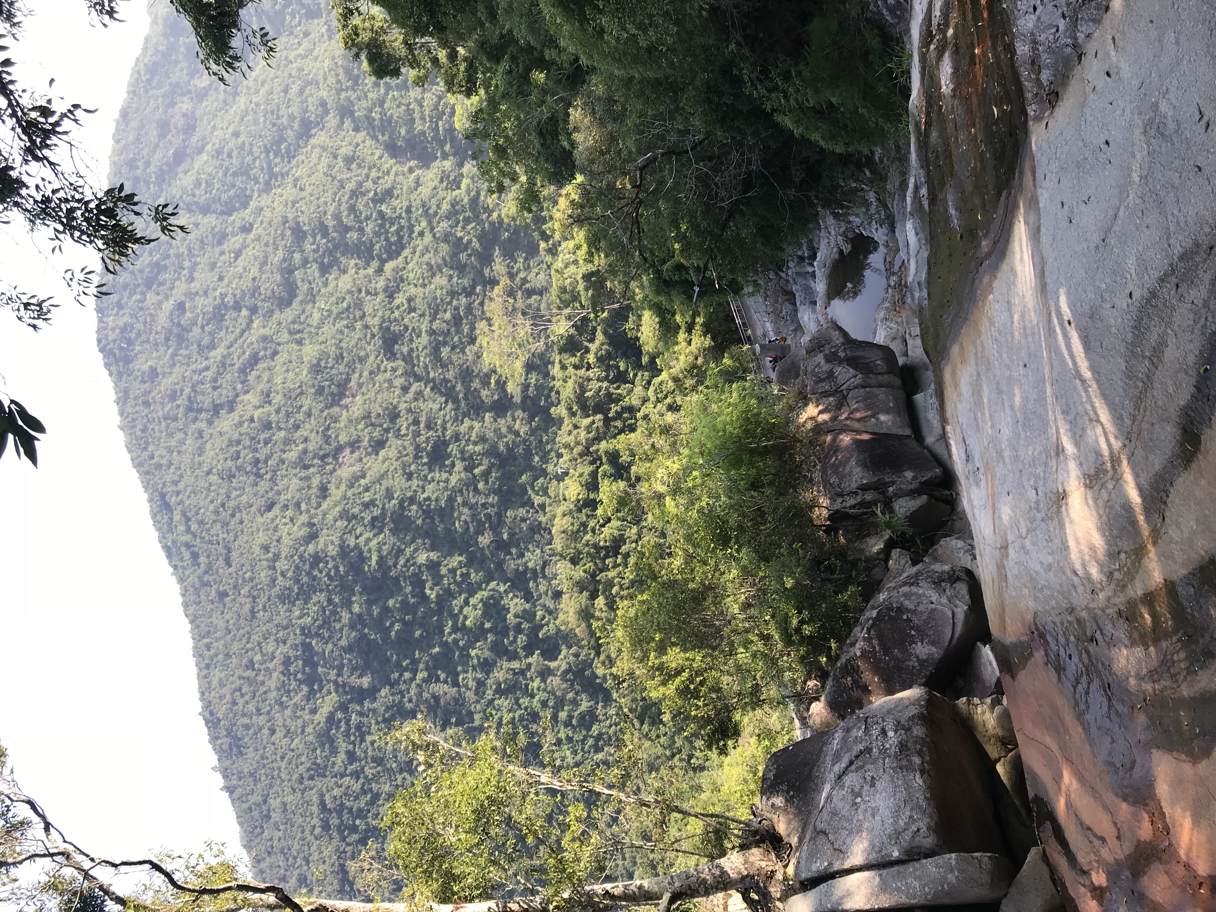 1500年的“母生”藏于此，这里集海南珍稀名木，神奇霸王岭