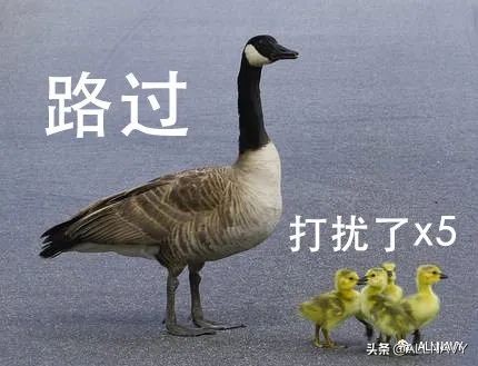 快手抖音同款店铺,抖音快手的大牌衣服是正品吗