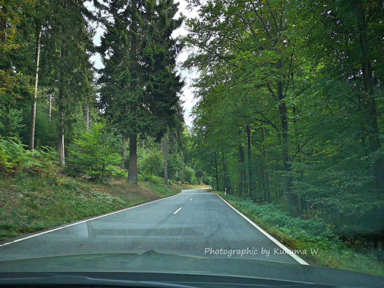 德国海德堡游玩攻略,神游法国巴黎