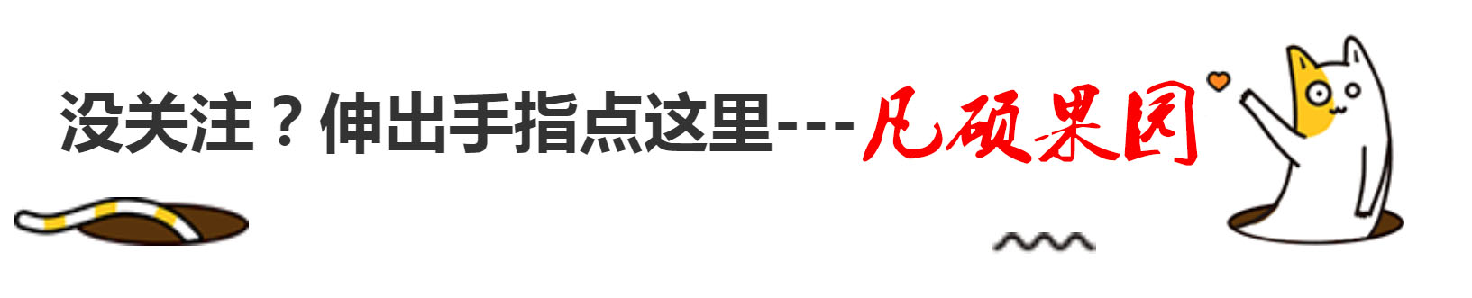 好吃到没朋友的东西,好甜好吃的百香果
