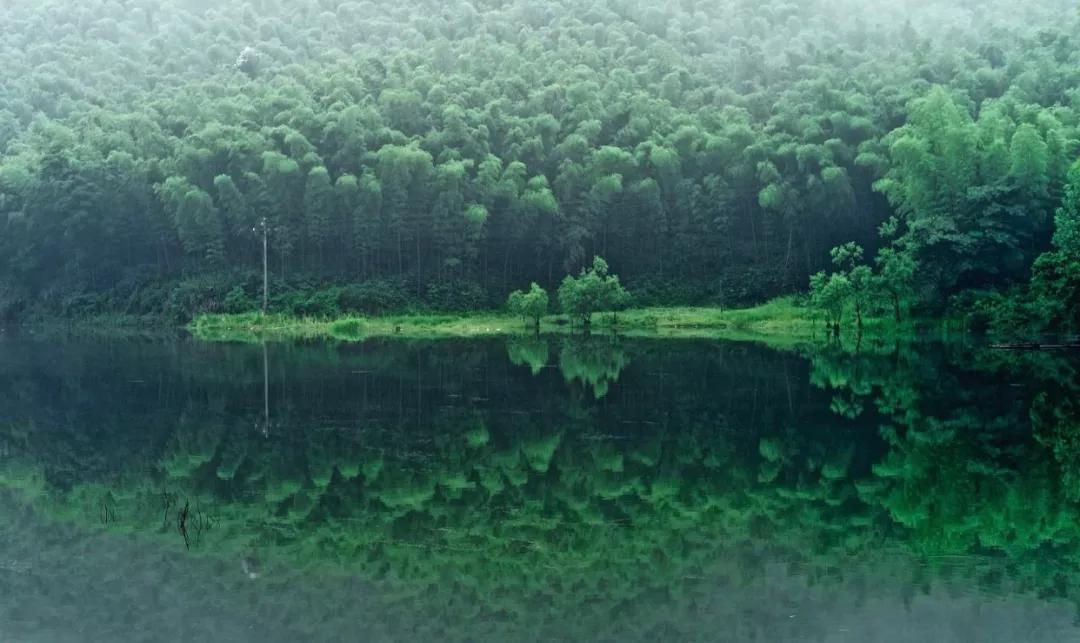 大暑的五种美,小暑的七种食物