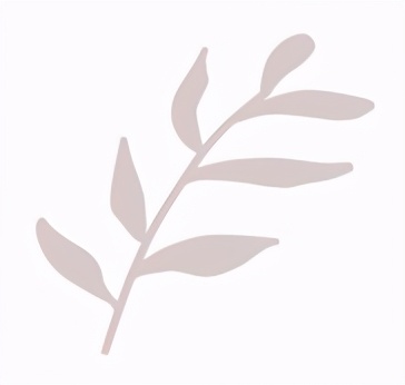 姜华专访|二十载联合国难忘历程：经历风雨，见证彩虹