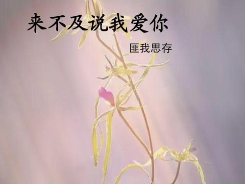 30部经典言情小说（现代篇）虐心飙泪的好文章！