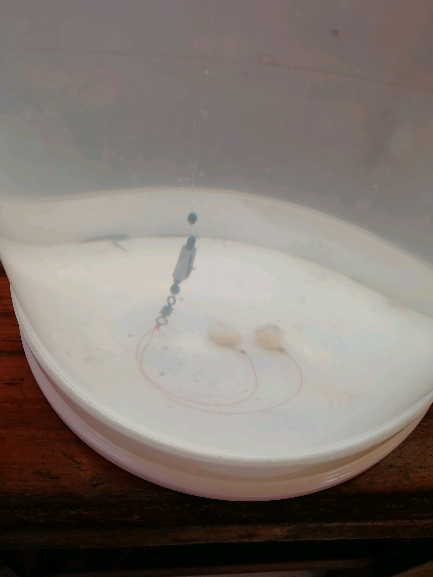 新手野钓最简单调漂方法一学就会,新手野钓怎么调漂最准确又快