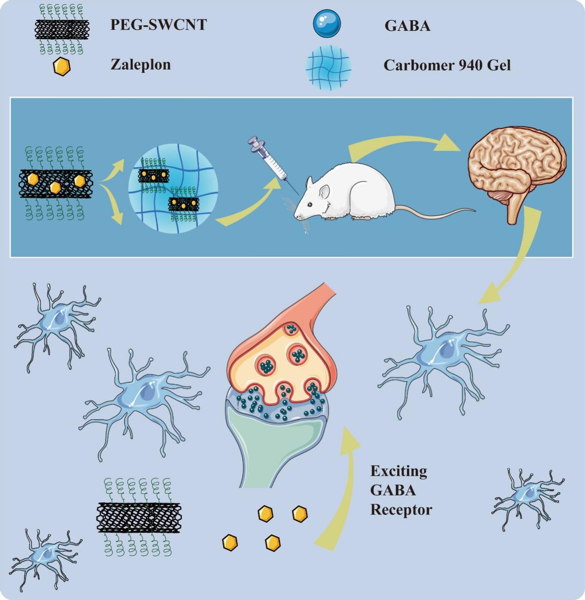 科学家最新研究发现睡眠障碍,睡眠障碍研究团队