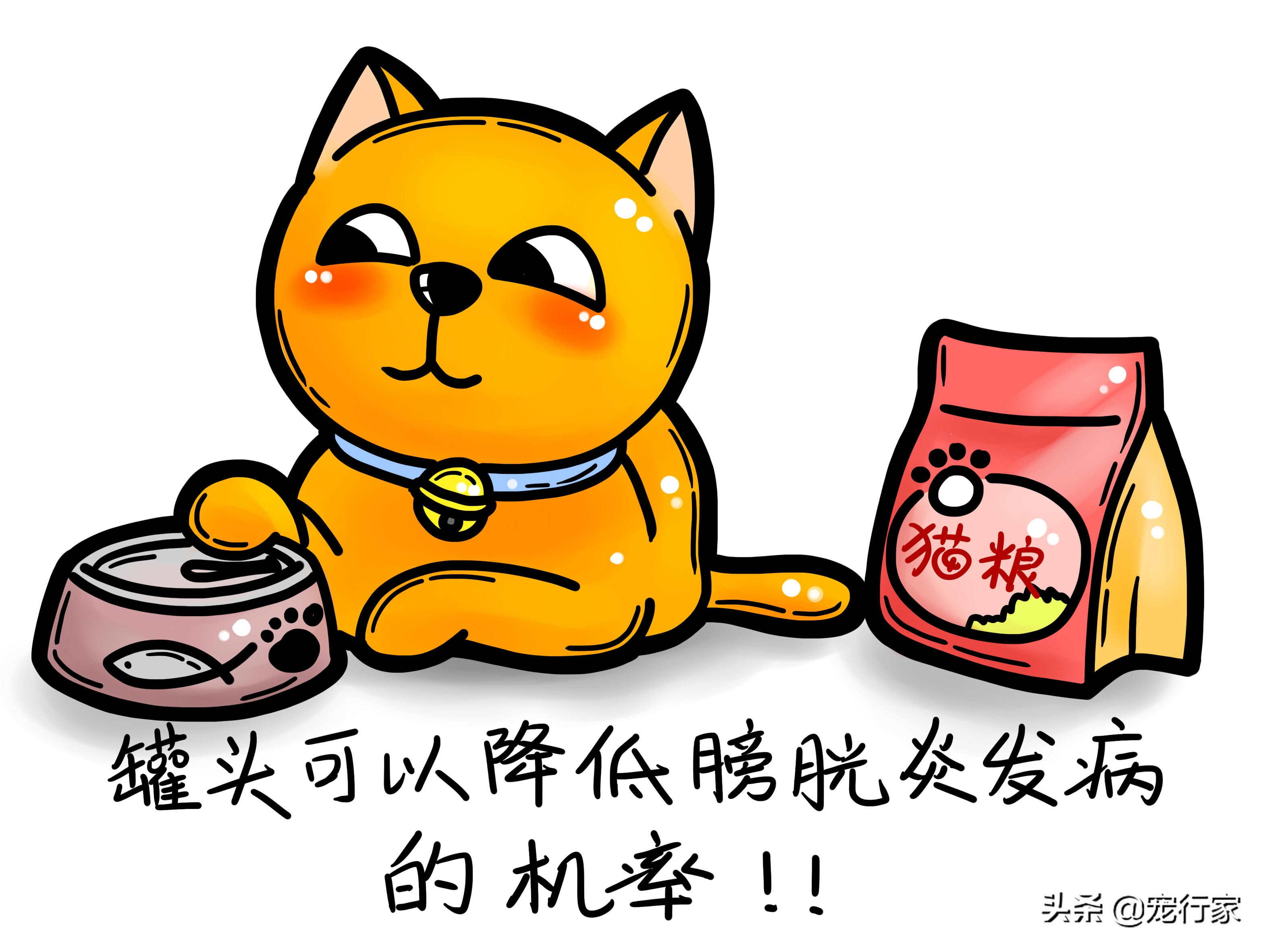 含水量多的食物可以帮猫咪预防膀胱炎！减少猫咪痛苦，节省医药费